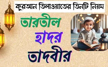 কুরআন তিলাওয়াতের তিনটি নিয়ম: তারতীল, হাদর ও তাদবীরের বিস্তারিত বিশ্লেষণ