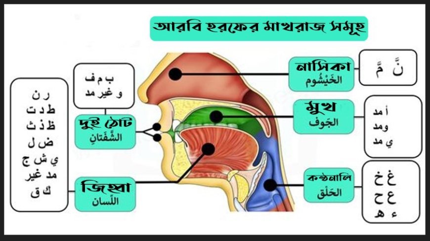 মাখরাজের বিবরণ: সঠিক উচ্চারণের সহজ গাইড